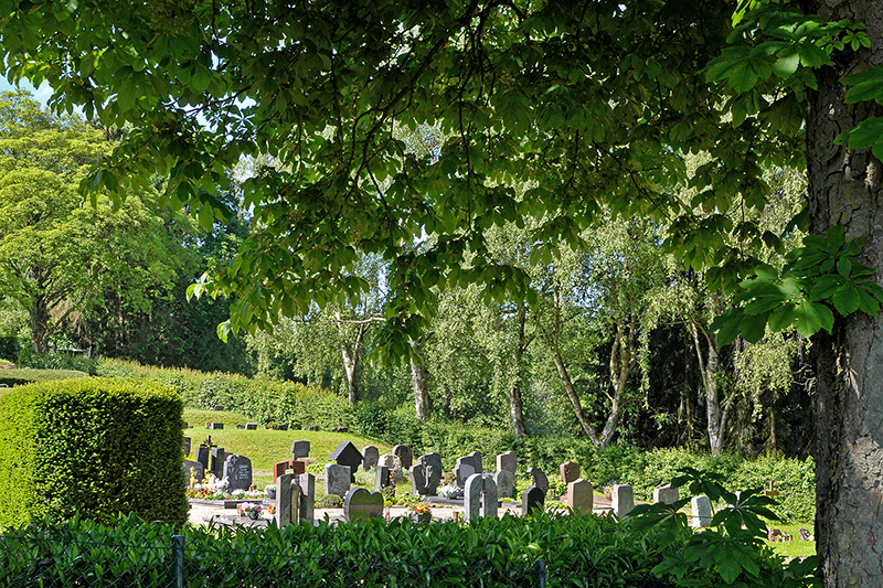 Friedhof Bubach