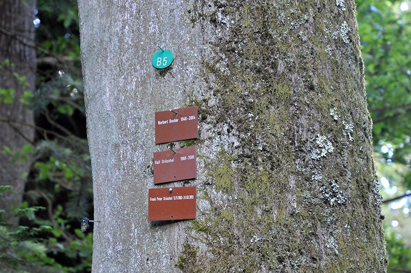 Friedhof Saarbrücken